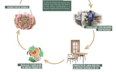 La Economía Circular en la Madera