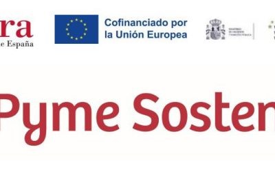 PROGRAMA PYME SOSTENIBLE